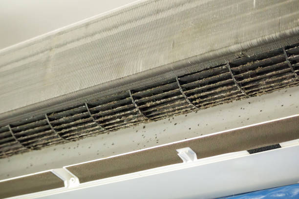 Best Best Air Duct Cleaning Company  in Shawneetown, IL
